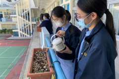 one-person-one-flower-watering