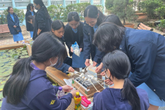 C_WhatsApp-Image-2026-02-25-at-11.13.42-AM