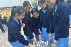 WhatsApp-Image-2026-02-25-at-11.13.42-AM-4